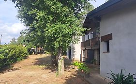 La casa del pi